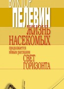 Свет горизонта