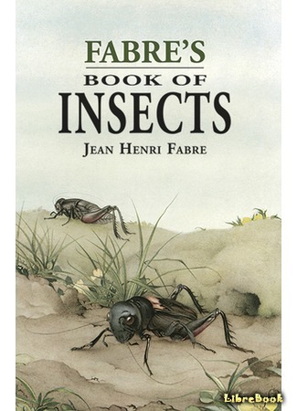 Жизнь насекомых. Рассказы энтомолога