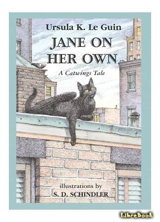 книга Джейн сама по себе (Jane On Her Own) 16.03.16