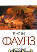 Кротовые норы