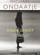 Призрак Анил