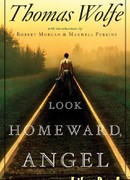 Взгляни на дом свой, ангел