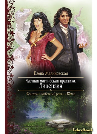 книга Частная магическая практика. Лицензия 08.10.16