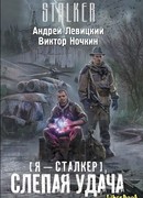 Я – сталкер. Слепая удача