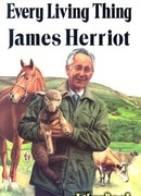 Среди Йоркширских холмов