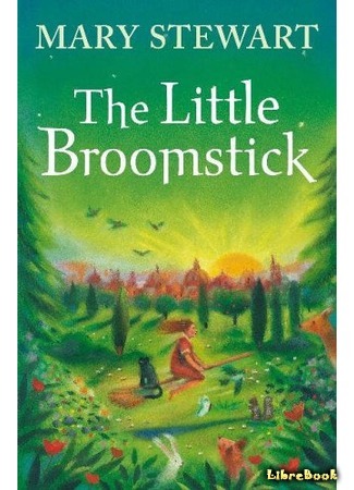 книга Маленькая метла (The Little Broomstick) 17.12.16