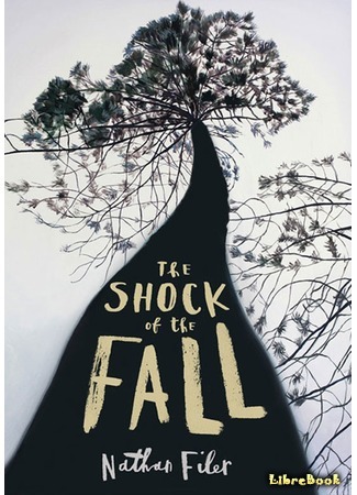 книга Шок от падения (The Shock of the Fall) 18.12.16