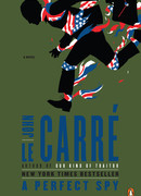 Идеальный шпион