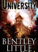 Университет