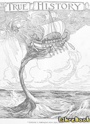 Правдивая история