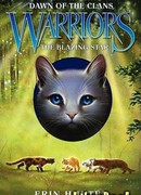 Сверкающая звезда