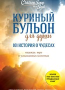 Куриный бульон для души. 101 история о чудесах