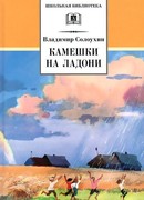 Камешки на ладони