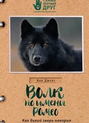 Волк по имени Ромео. Как дикий зверь покорил сердца целого города