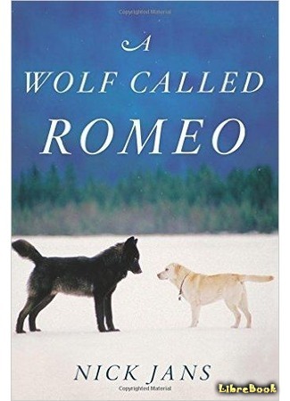 книга Волк по имени Ромео. Как дикий зверь покорил сердца целого города (A Wolf Called Romeo) 07.11.17