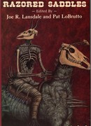 Запруда Динкера