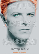 Человек, упавший на Землю