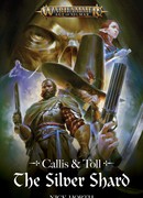 Каллис и Толл: Серебряный Осколок