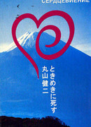 В небе снова радуга