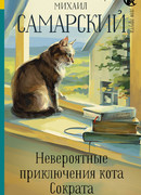 Невероятные приключения кота Сократа