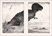 Истории о динозаврах