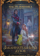 Заклинательница духов. Академия Света и Тьмы