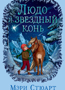 Людо и звездный конь