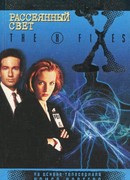 Файл №223. Рассеянный свет