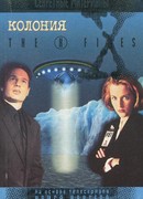 Файл №224. Колония