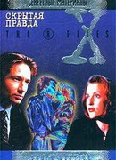 Файл №365. Незаконный эмигрант