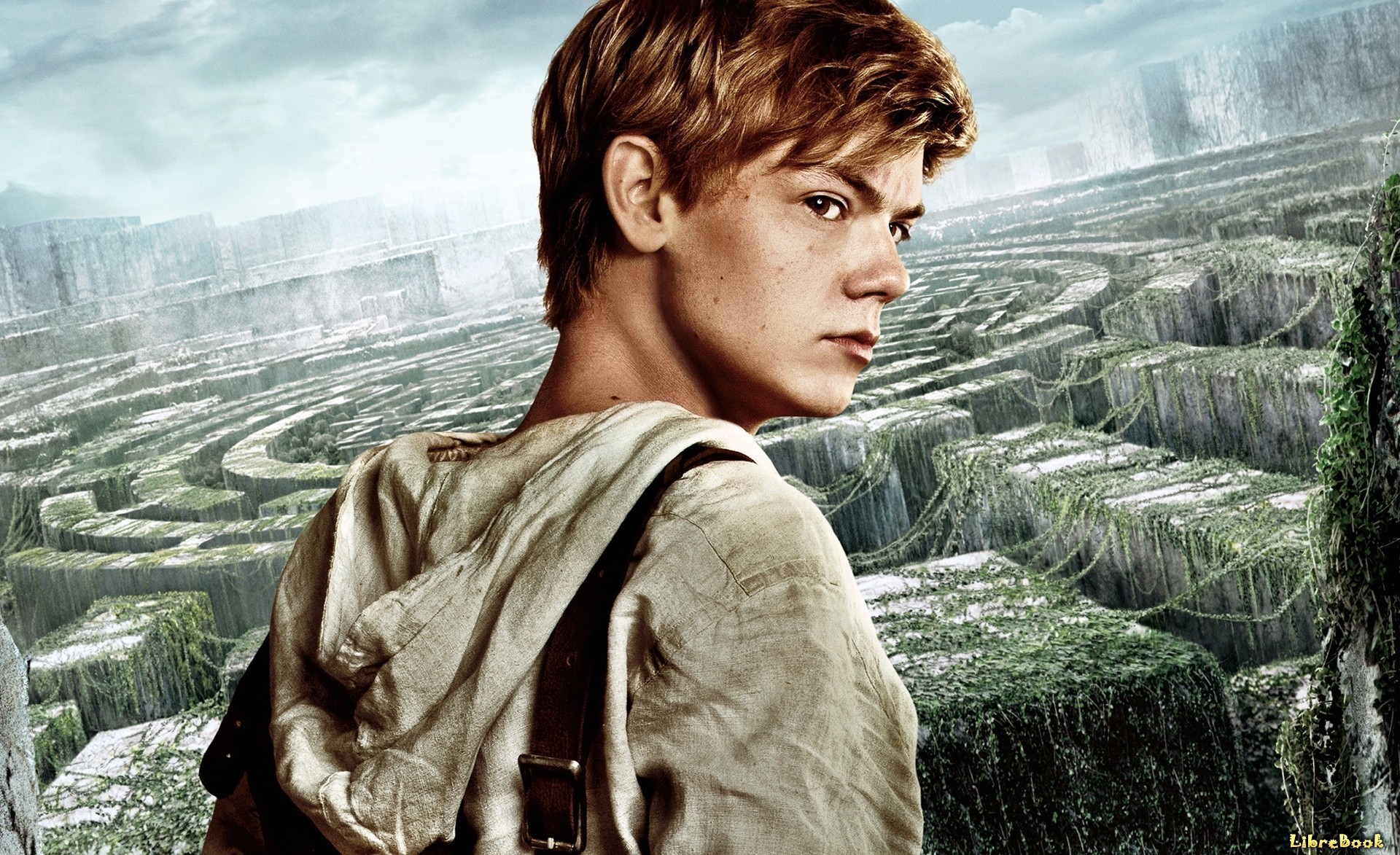 Читать бесплатно электронную книгу Бегущий в лабиринте (The Maze Runner ...