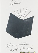 Если однажды зимней ночью путник