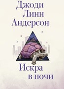 Искра в ночи