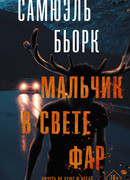 Мальчик в свете фар