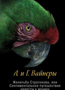 Женитьба Стратонова, или сентиментальное путешествие невесты к жениху