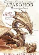 Тайна лабиринта