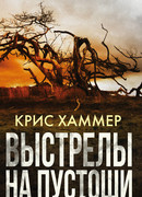 Выстрелы на пустоши