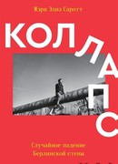 Коллапс. Случайное падение Берлинской стены