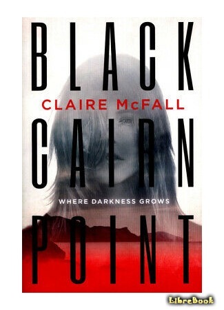 книга Последний свидетель (Black Cairn Point) 03.03.20