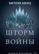 Шторм войны