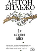 Где сходятся ветки
