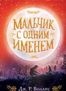 Мальчик с одним именем