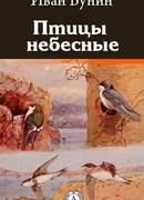 Птицы небесные