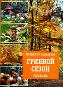Грибной сезон. Рассказы