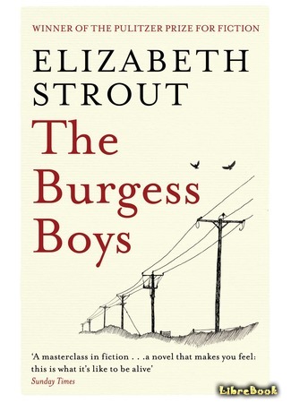 книга Мальчики Бёрджессы (The Burgess Boys) 15.03.21
