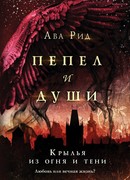 Крылья из огня и тени