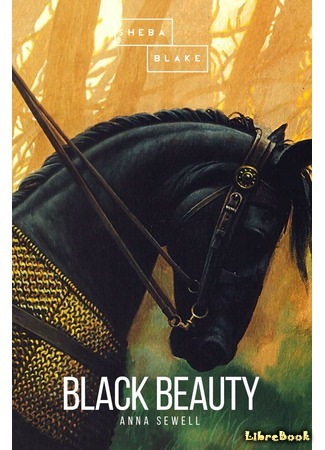книга Черный Красавчик (Black Beauty) 05.04.21