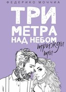 Три метра над небом. Трижды ты