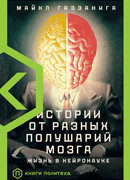 Истории от разных полушарий мозга Жизнь в нейронауке