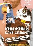 Bromance. Книжный клуб спешит на помощь (Crazy Stupid Bromance)